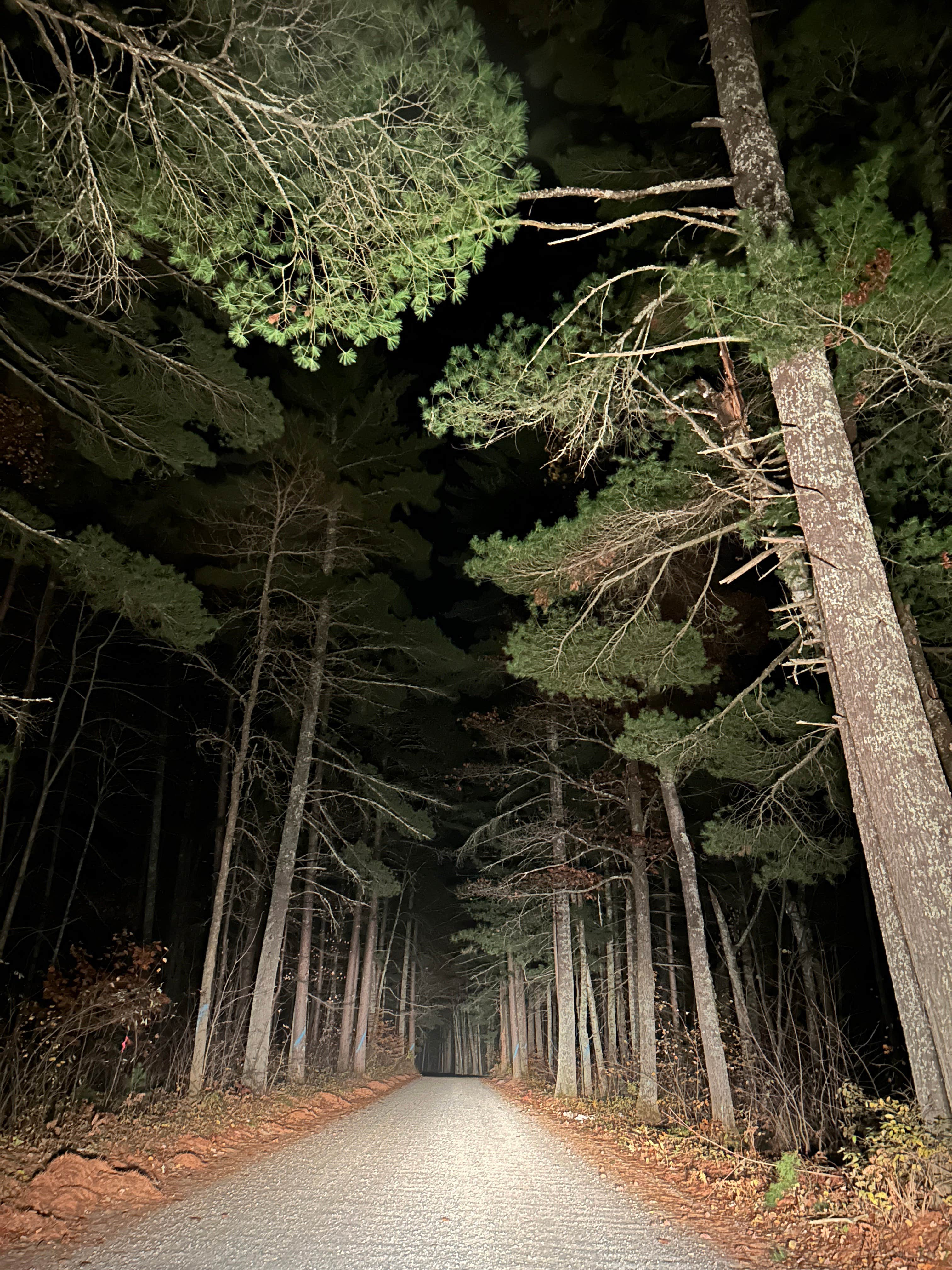 Camper submitted image from D29 dispersed site - 2