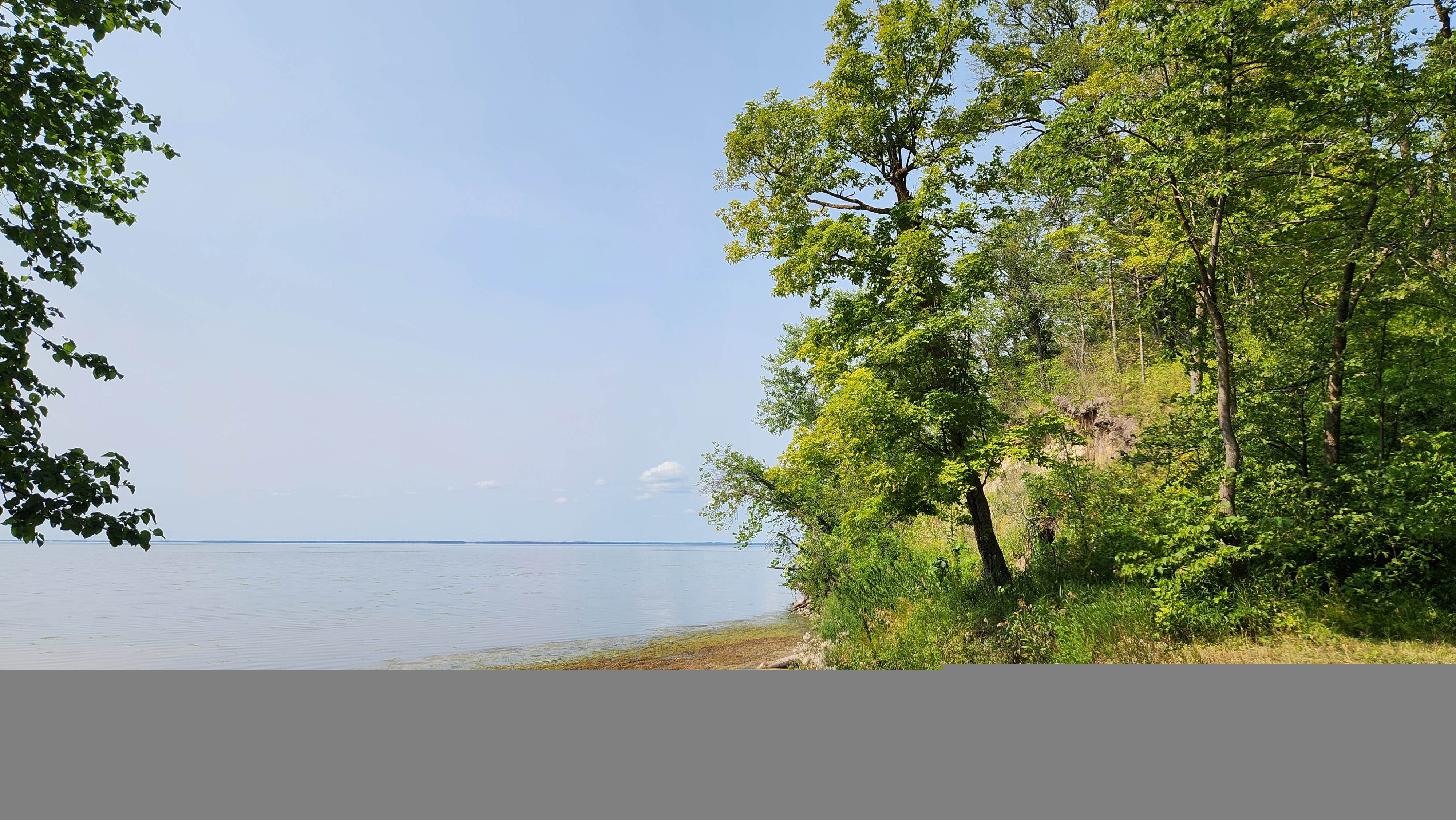 Camper-submitted photo at D29 dispersed site near Laporte, MN