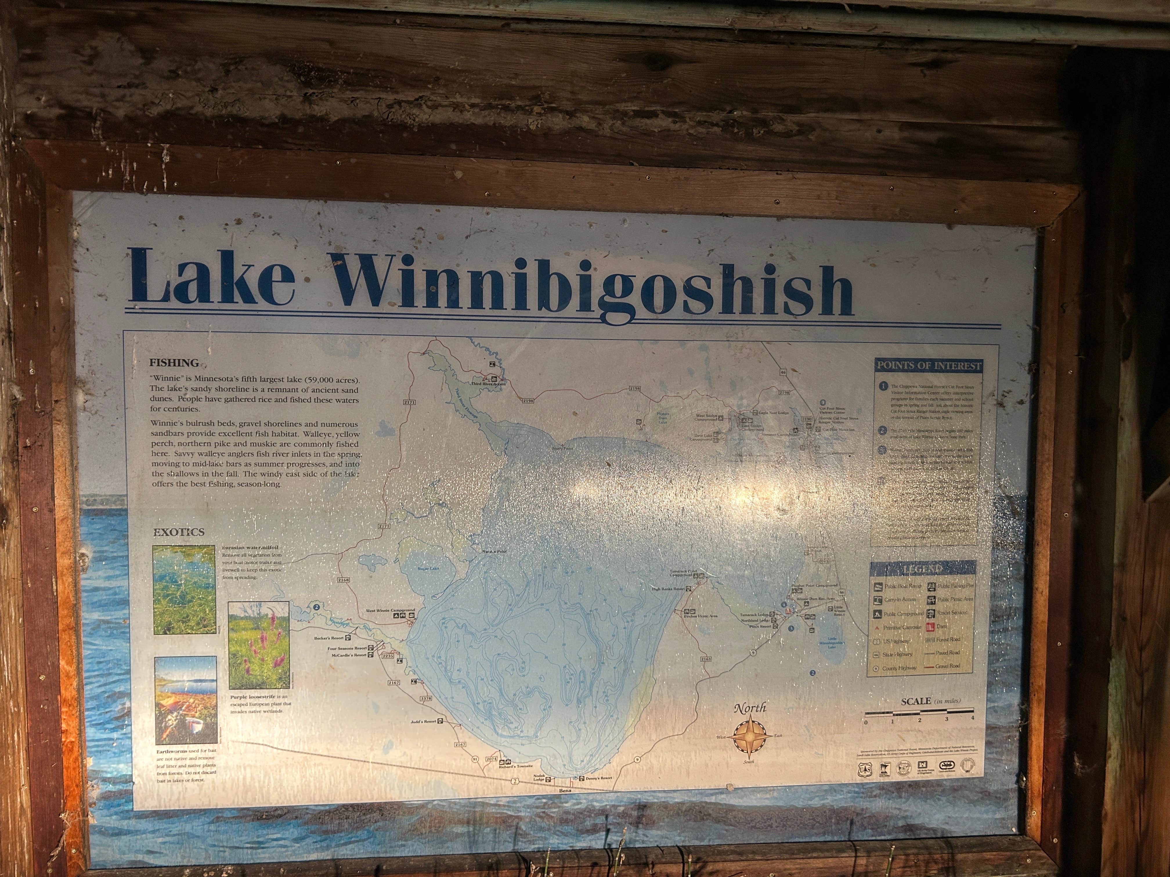 Camper submitted image from D29 dispersed site - 4