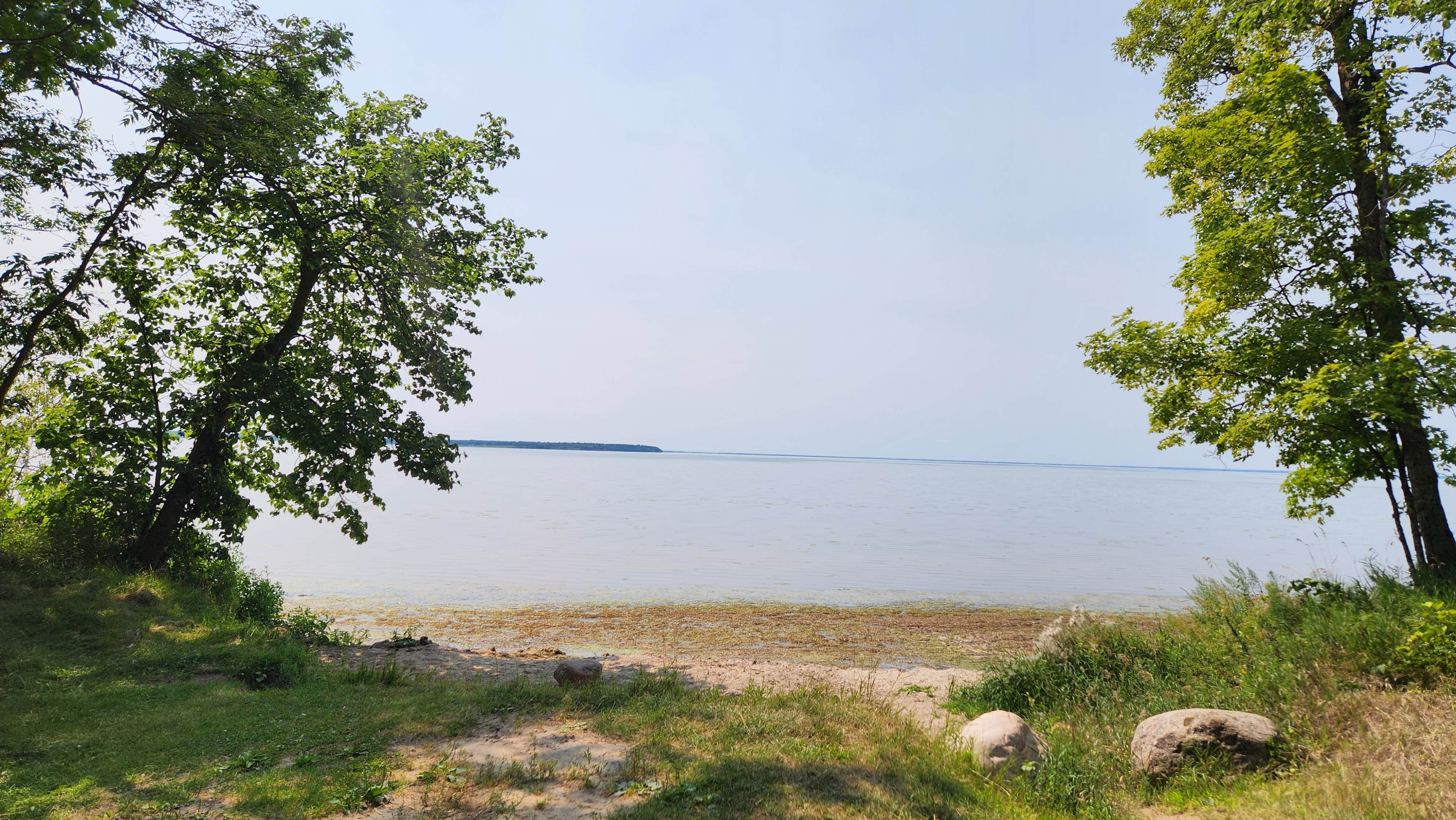 Camper-submitted photo at D29 dispersed site near Laporte, MN