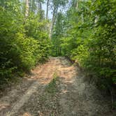 Review photo of D57 Upper Pigeon Lake by Ruby B., June 1, 2025