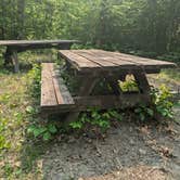 Review photo of D57 Upper Pigeon Lake by Ruby B., June 1, 2025
