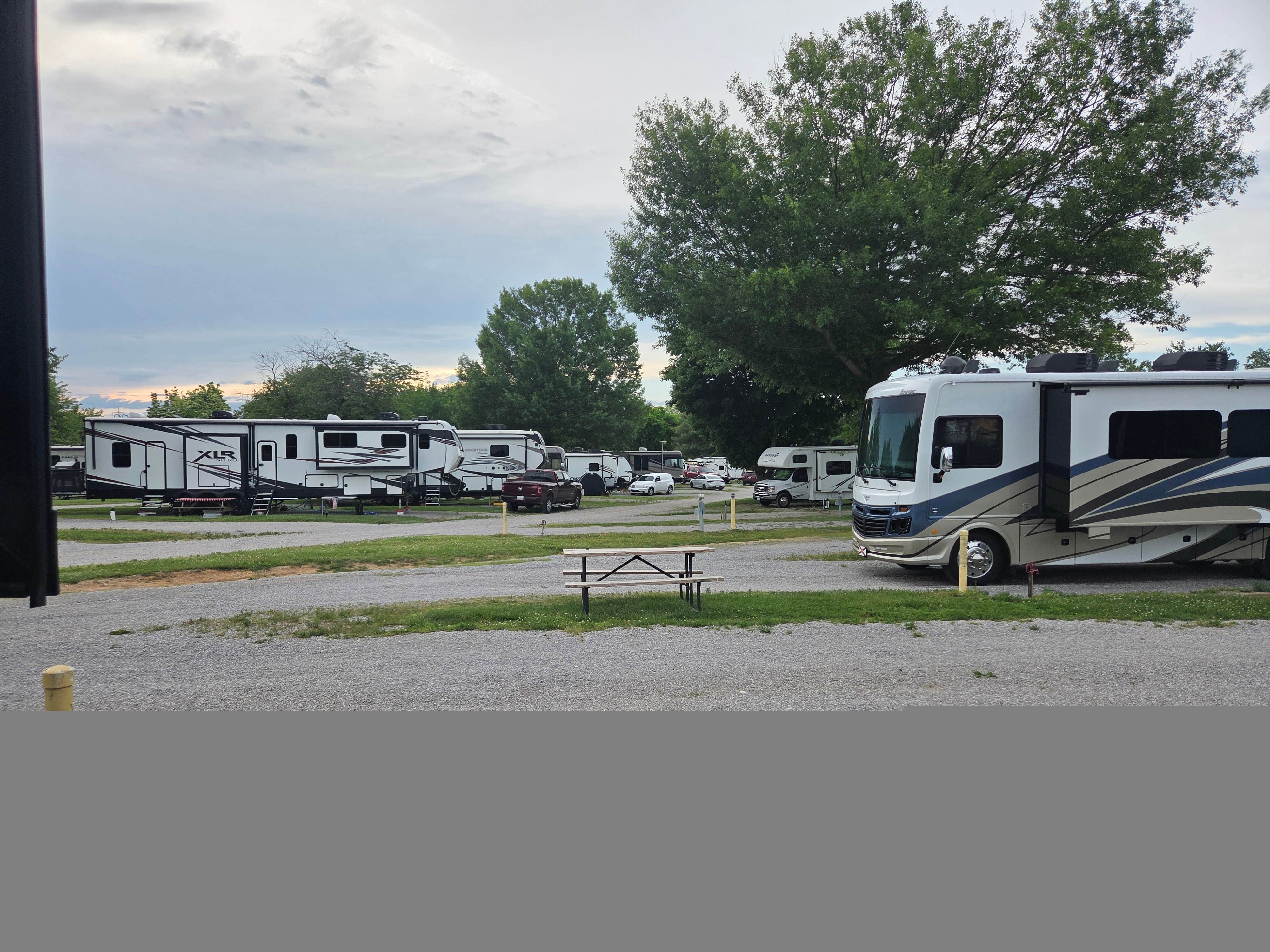 Camper submitted image from Dad's Bluegrass Campground - 1