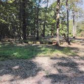 Review photo of Dagmar Wildlife Management Area Campsites by Dawn G., July 16, 2025