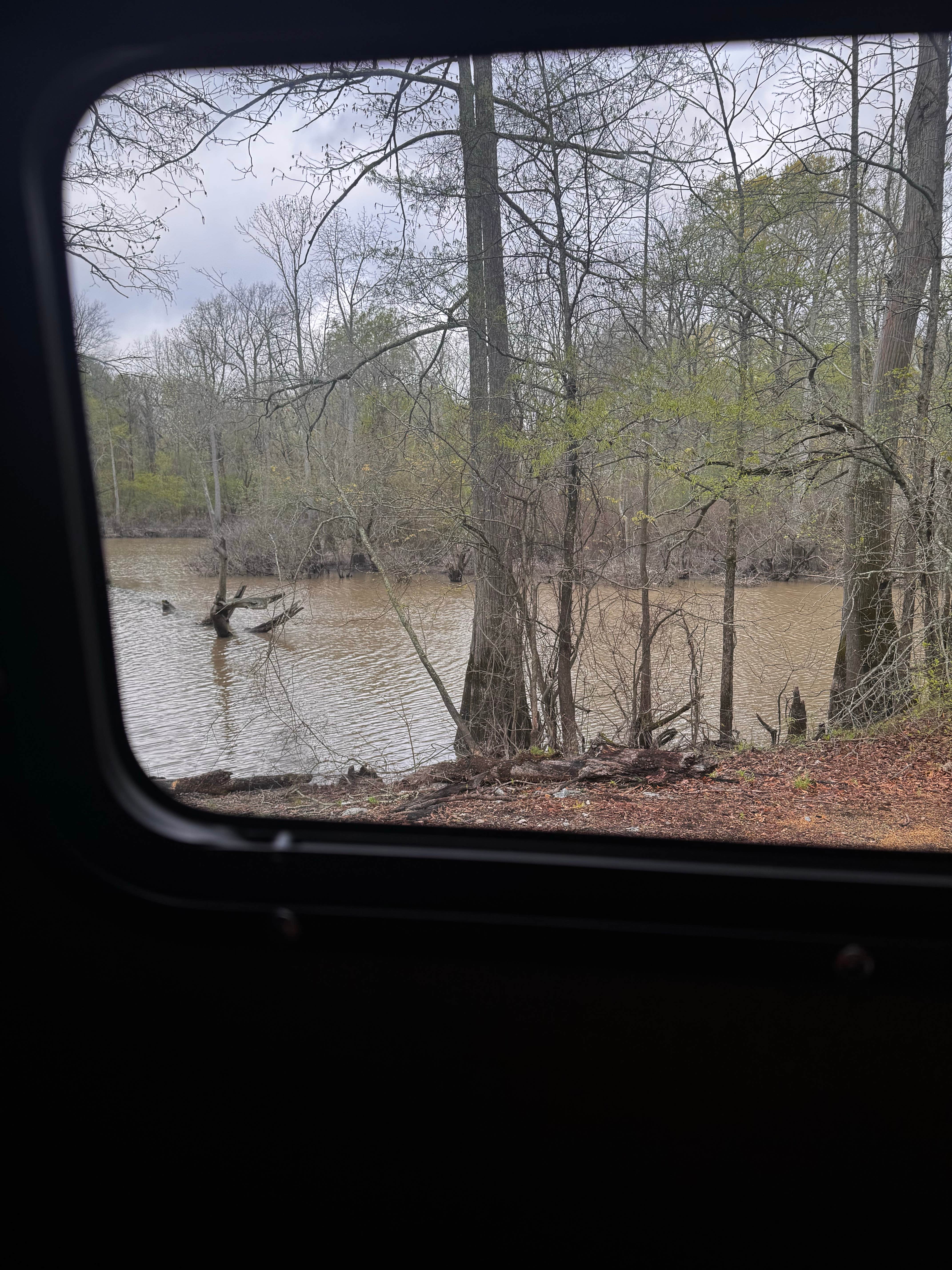 Camper-submitted photo at Dagmar Wildlife Management Area Campsites near Holly Grove, AR