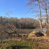 Review photo of Dagmar Wildlife Management Area Campsites by Alexandria C., February 28, 2026