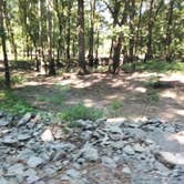 Review photo of Dagmar Wildlife Management Area Campsites by Dawn G., July 16, 2025
