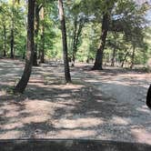 Review photo of Dagmar Wildlife Management Area Campsites by Dawn G., July 16, 2025