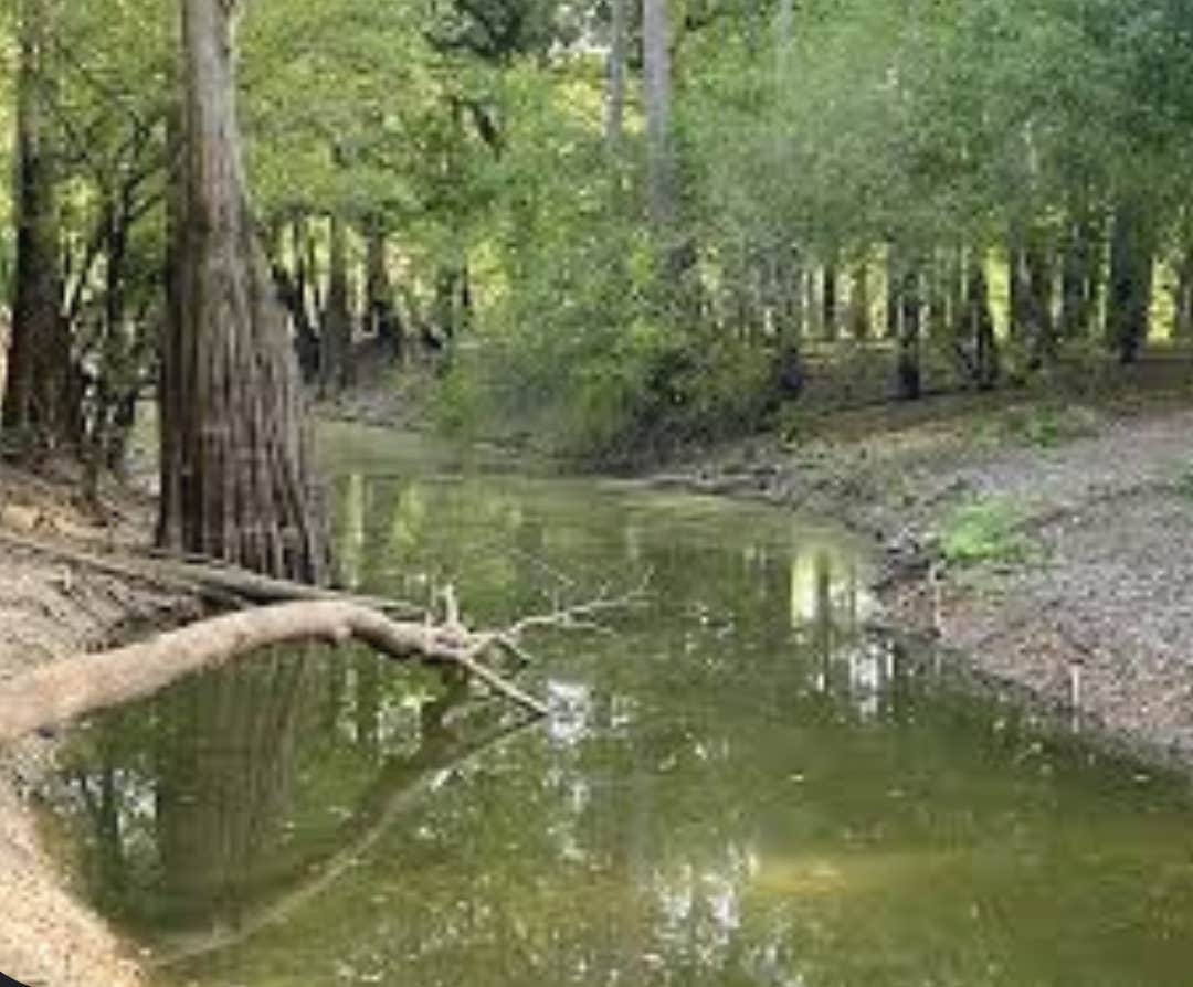 Camper-submitted photo at Dagmar Wildlife Management Area Campsites near Holly Grove, AR