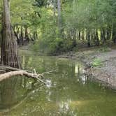 Review photo of Dagmar Wildlife Management Area Campsites by Christopher  T., August 30, 2025
