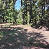 Review photo of Dagmar Wildlife Management Area Campsites by Dawn G., July 16, 2025
