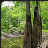 Review photo of Dagmar Wildlife Management Area Campsites by Christopher  T., August 30, 2025