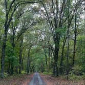 Review photo of Dagmar Wildlife Management Area Campsites by Christopher  T., August 30, 2025