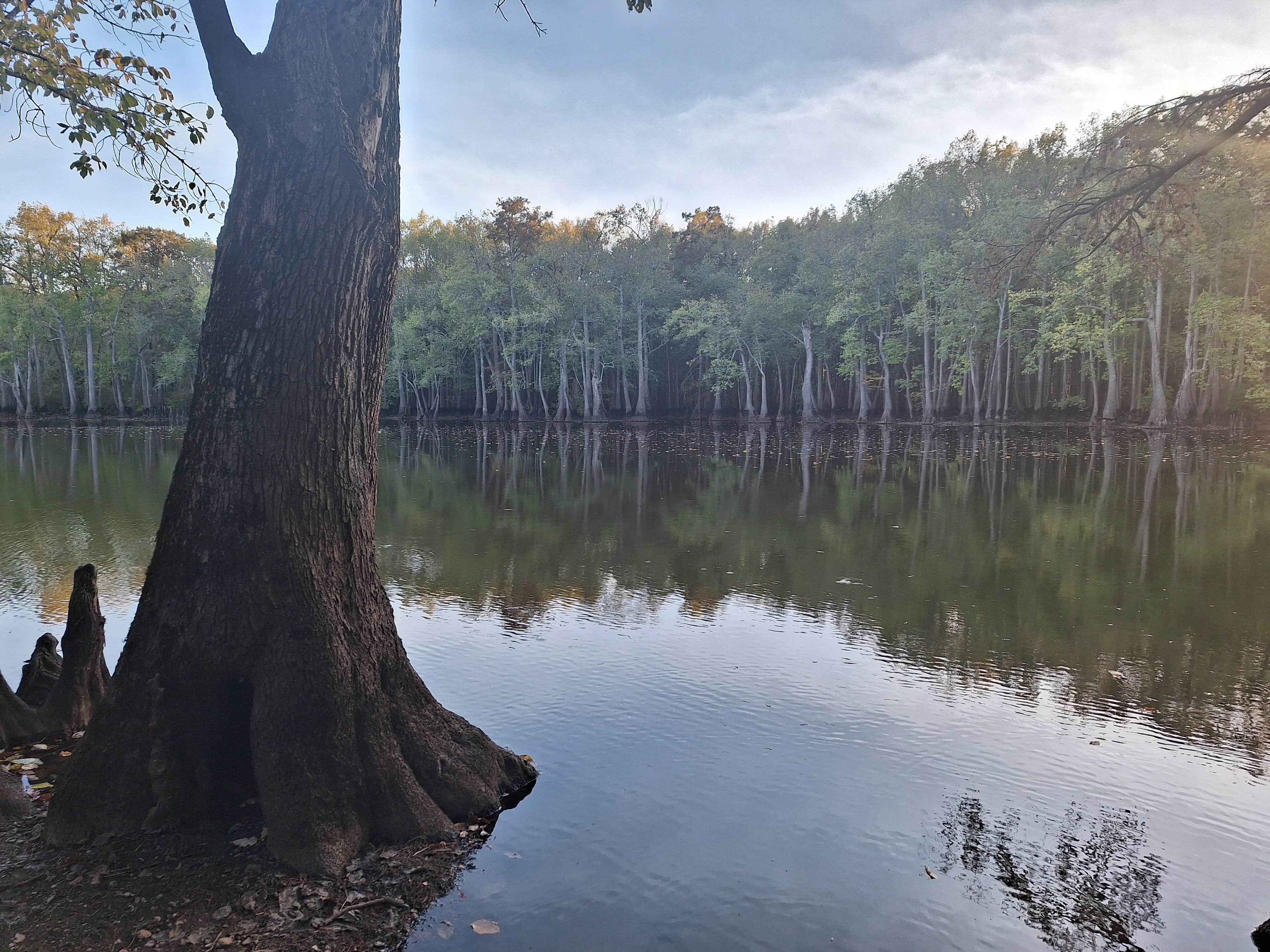 Camper submitted image from Dagmar Wildlife Management Area Campsites - 1