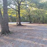 Review photo of Dagmar Wildlife Management Area Campsites by Travis B., October 20, 2023