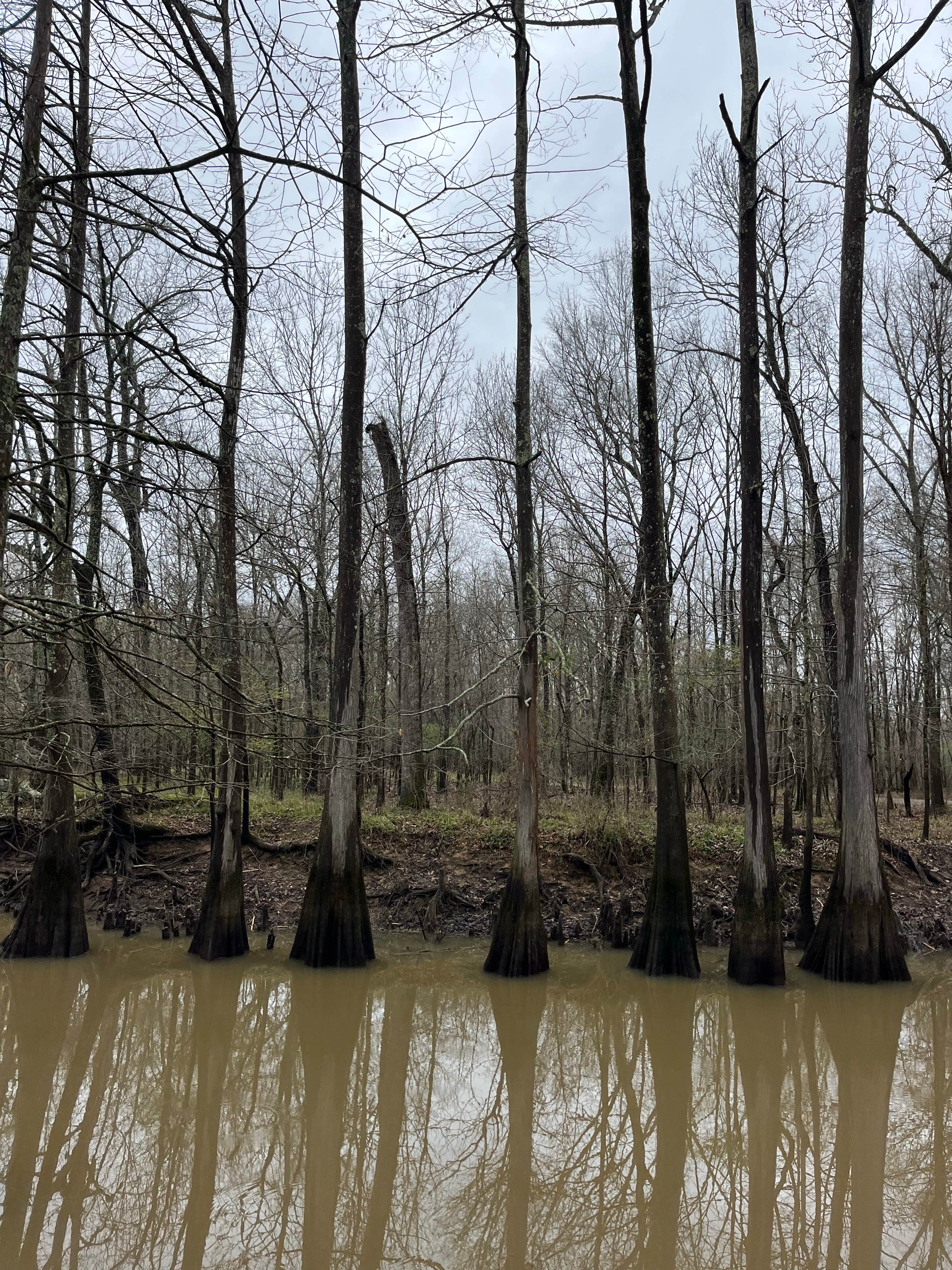 Camper submitted image from Dagmar Wildlife Management Area Campsites - 4