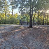 Review photo of Dagmar Wildlife Management Area Campsites by Travis B., October 20, 2023