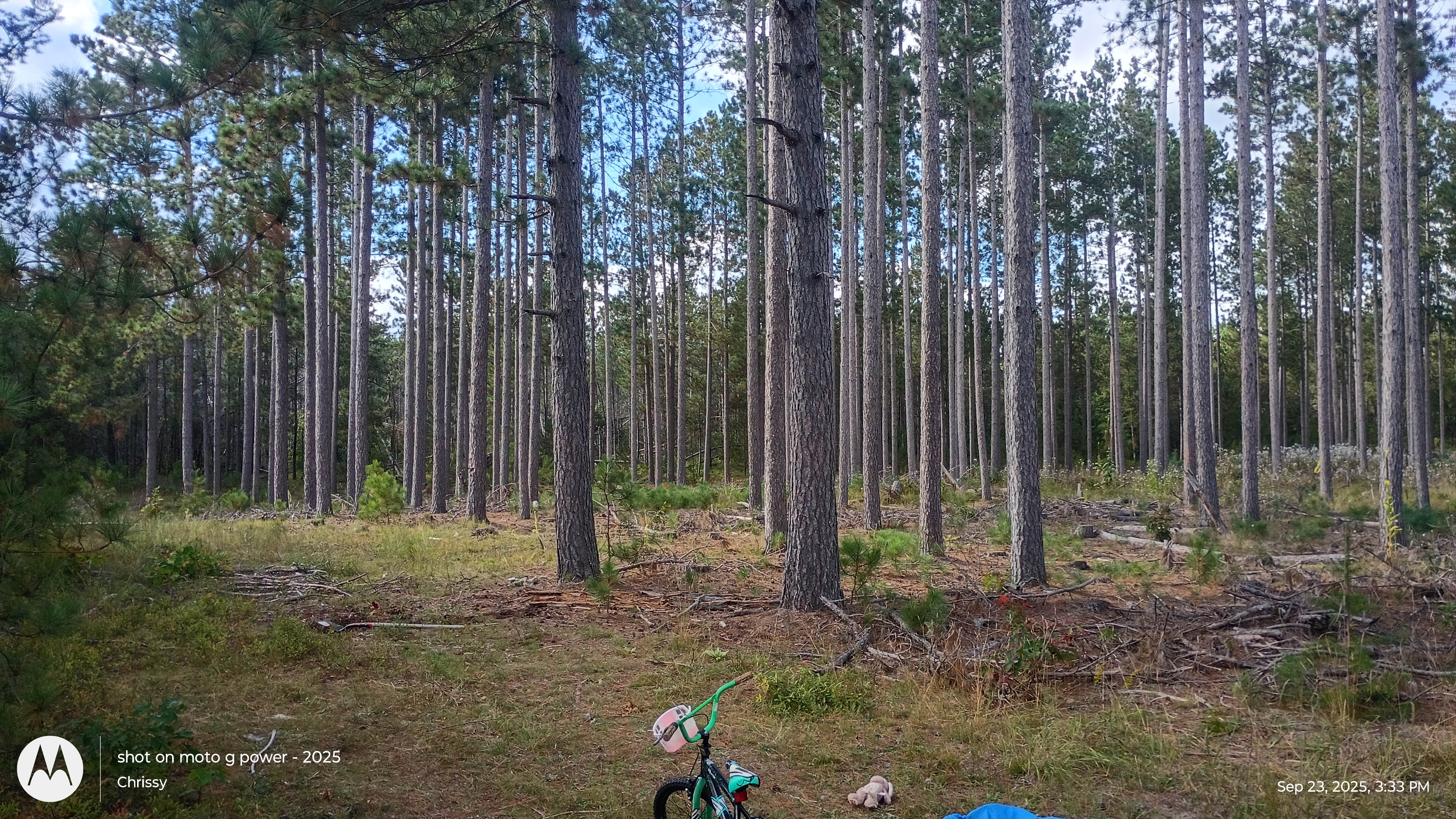 Camping near Middle St. Croix — Saint Croix National Scenic Riverway: Dago Lake, Moose Lake, Minnesota