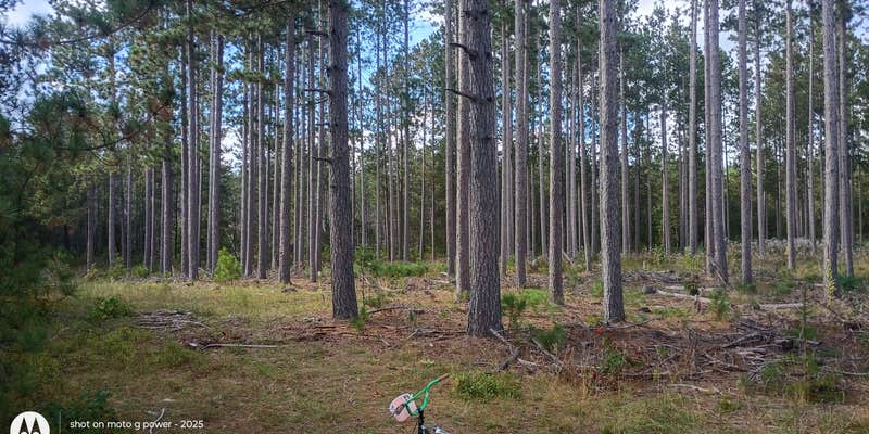 Camper submitted image from Dago Lake