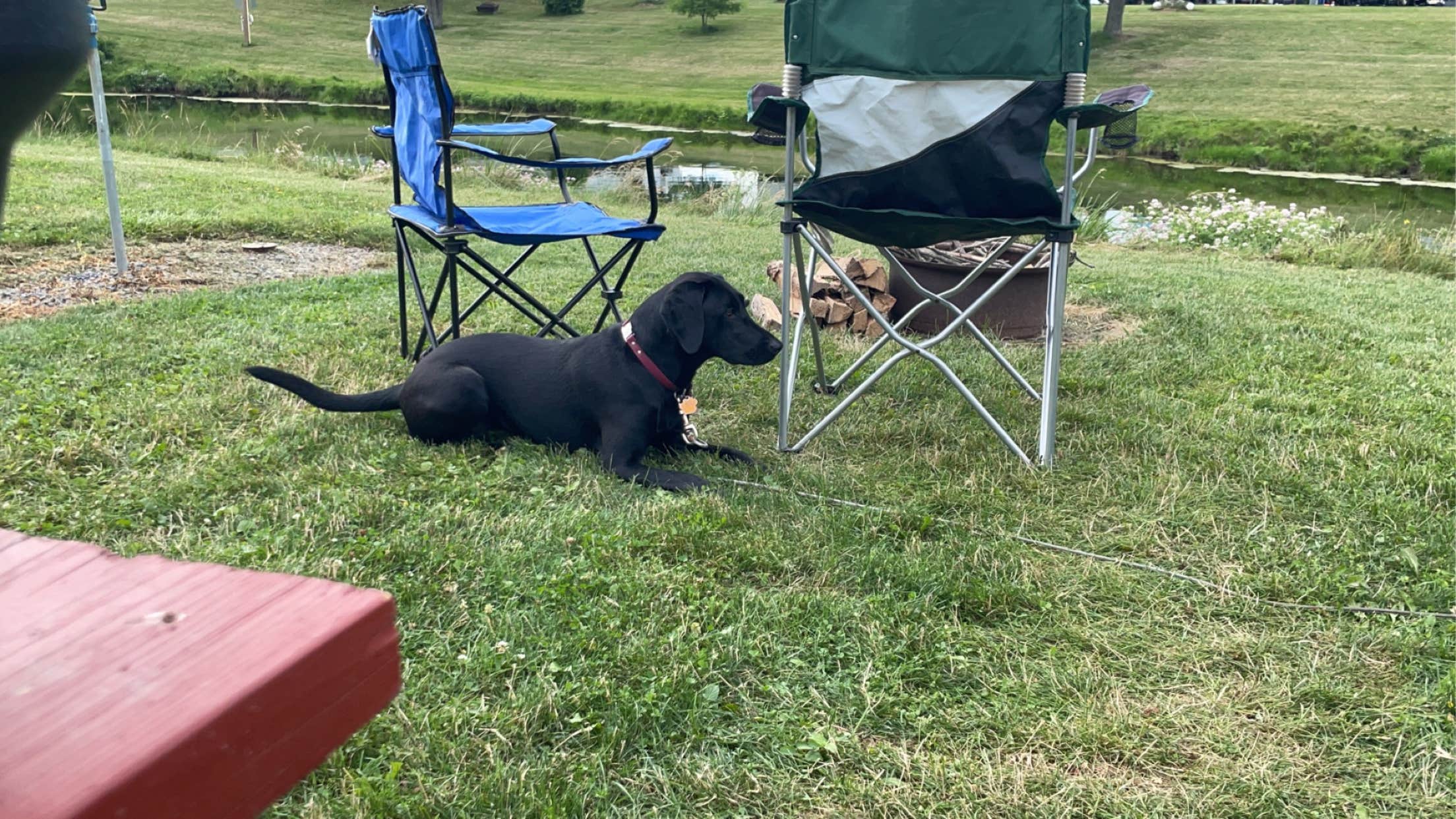 Camper-submitted photo at Daisy Barn Campground near Barker, NY