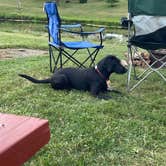 Review photo of Daisy Barn Campground by Josie W., July 11, 2024