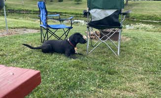 Josie W.'s photo of camping with pets at Daisy Barn Campground near Youngstown, NY
