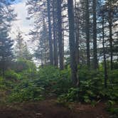 Review photo of Daisy Farm Campground — Isle Royale National Park by Tori K., November 1, 2024