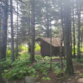 Review photo of Daisy Farm Campground — Isle Royale National Park by Tori K., November 1, 2024