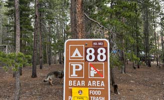 Earvin H.'s photo of camping with pets at Dakan Road Camping near Parker, CO