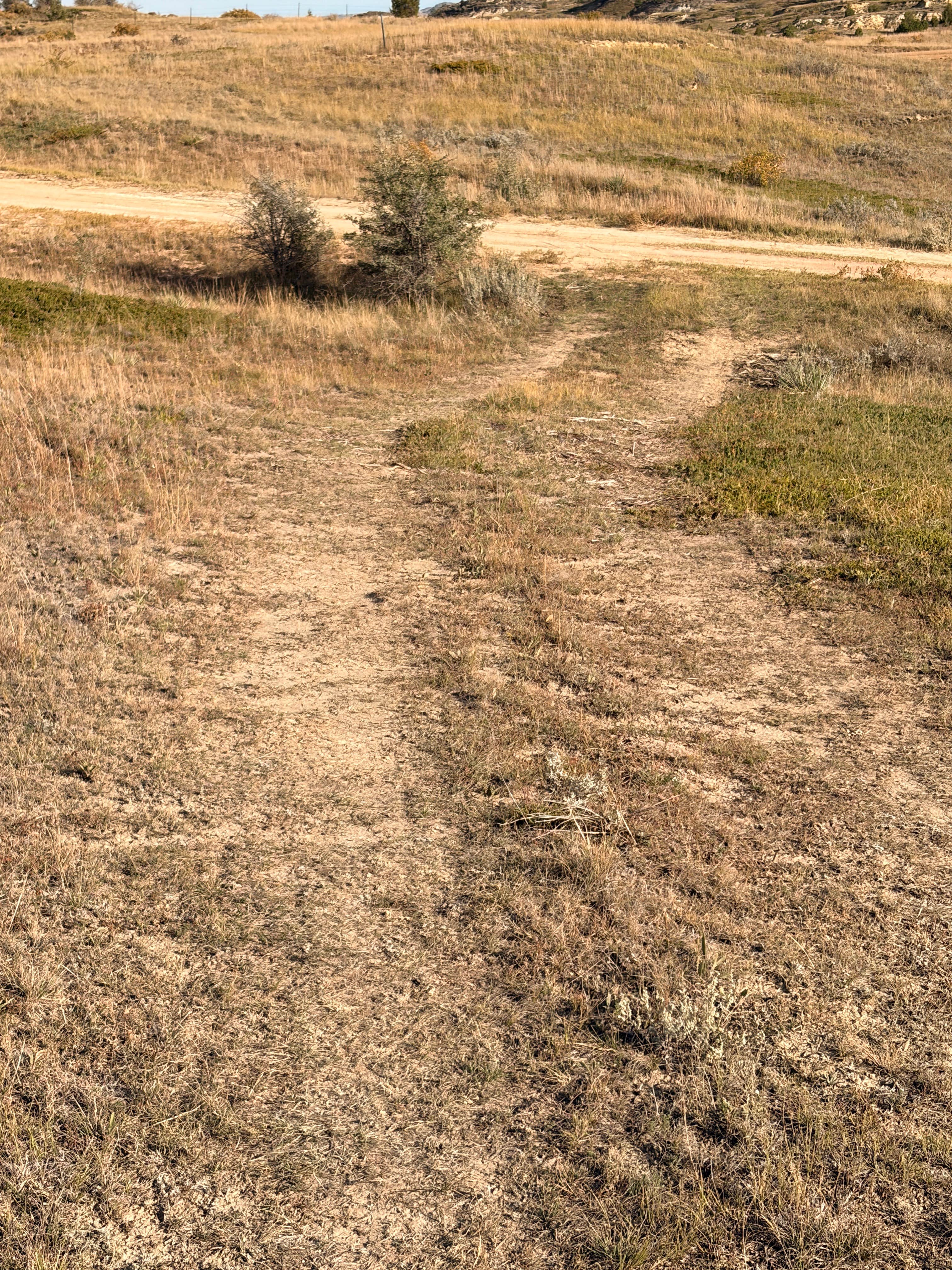 Camper-submitted photo at Dakota Prairie Grasslands near Grassy Butte, ND