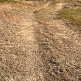 Review photo of Dakota Prairie Grasslands by Julie K., September 27, 2026