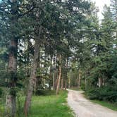 Review photo of Dalton Lake Campground — Black Hills National Forest by Joanne Y., September 4, 2026