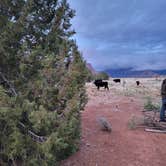 Review photo of Dalton Wash Dispersed by Shayla S., May 6, 2025