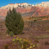 Review photo of Dalton Wash Dispersed by Christie S., May 26, 2026