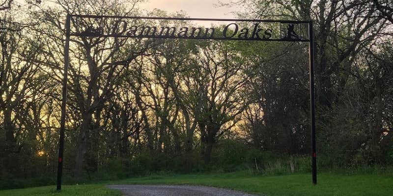 Camper submitted image from Dammann Oak Campground