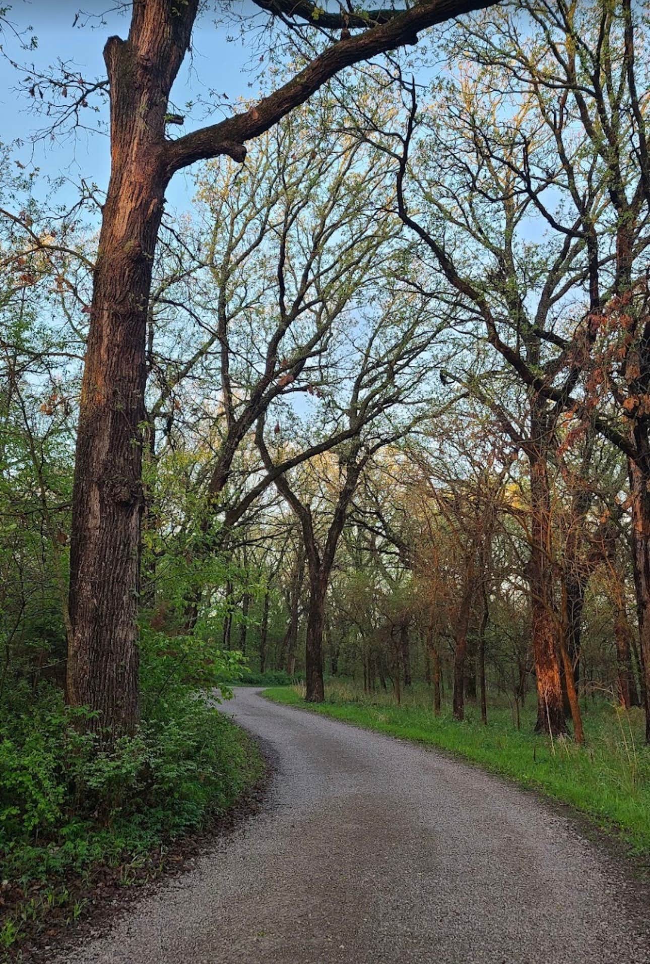 Camper-submitted photo at Dammann Oak Campground near Villisca, IA
