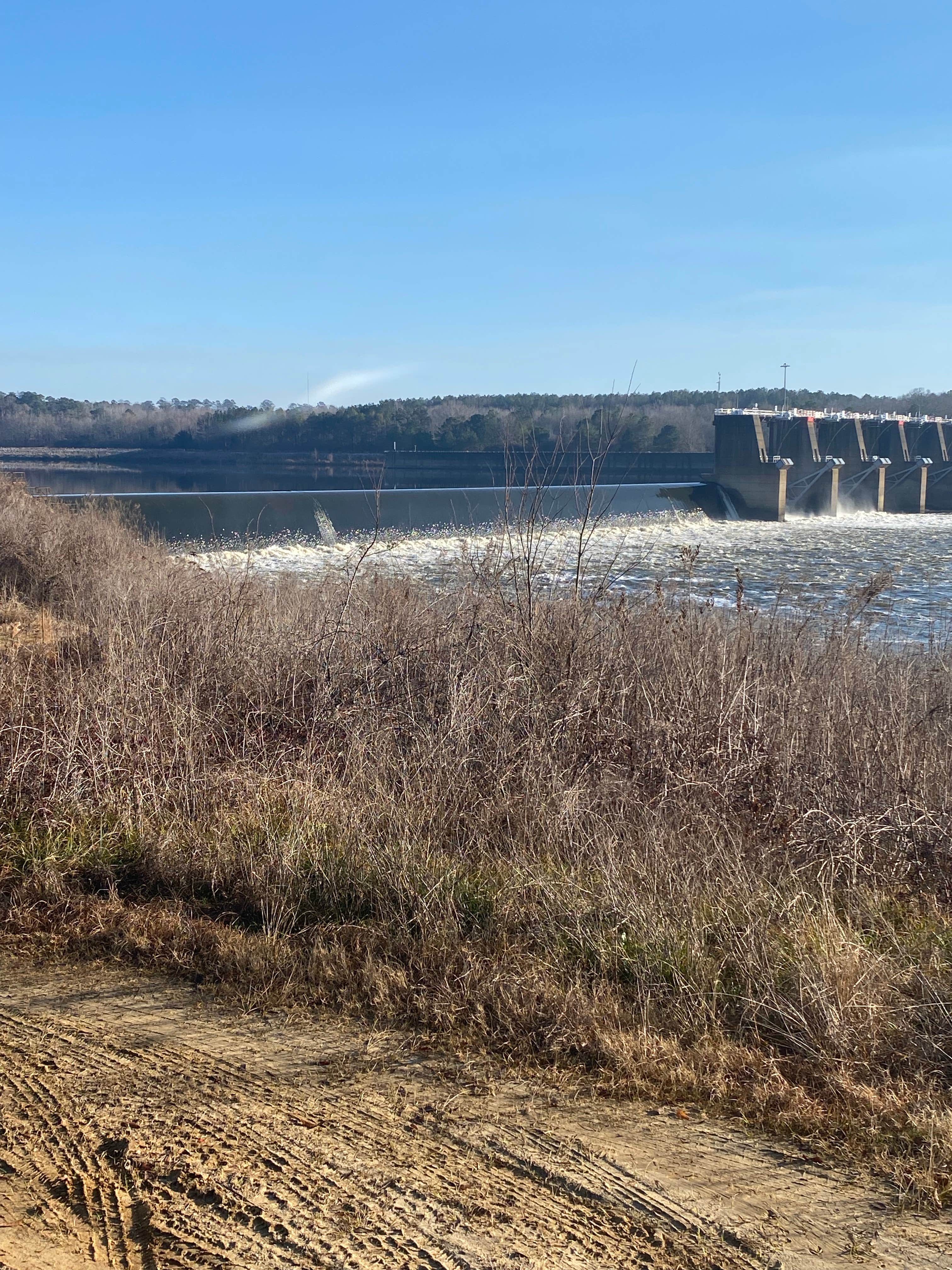 Camper-submitted photo at Claiborne Lake Damsite West Bank near Uriah, AL