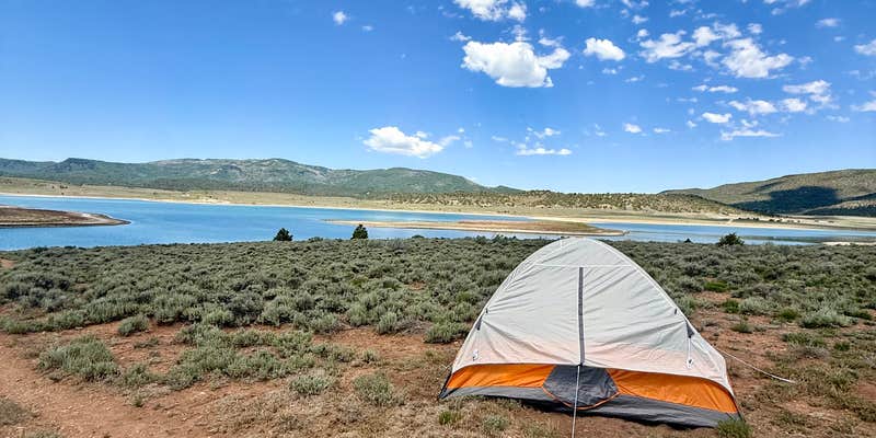 Camper submitted image from Dan Noble State Wildlife Area Miramonte Reservoir