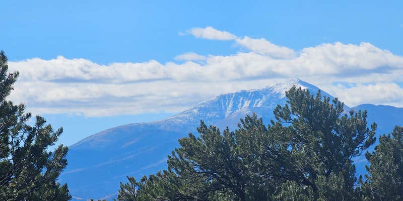 Camper submitted image from Dan's Land Free Camp