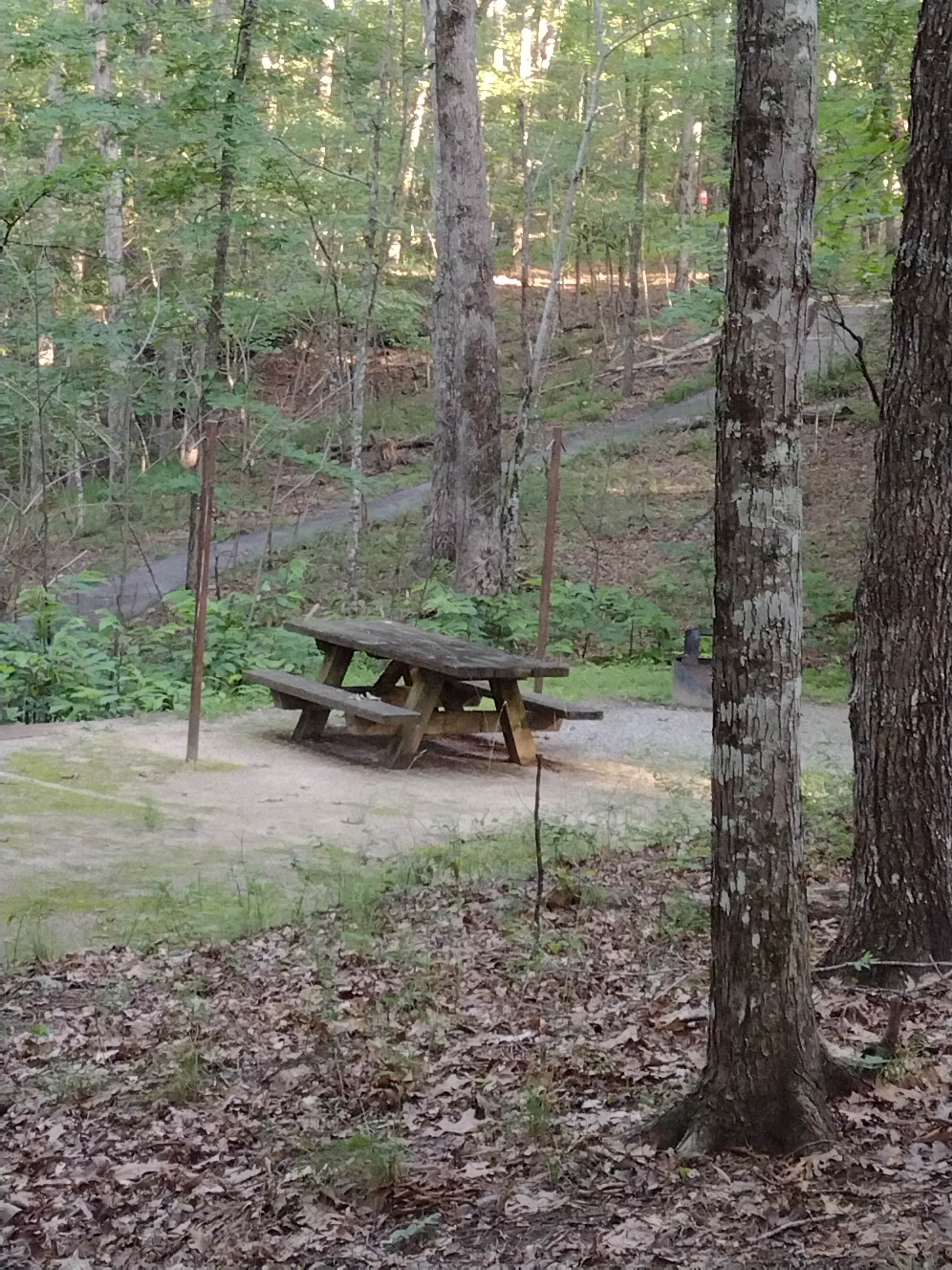 Camper submitted image from Grove Drive-in Campground - 3