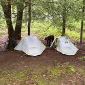Review photo of Danner Primitive Campground by Ayden M., June 10, 2026