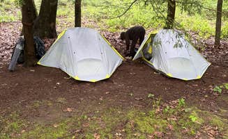 Ayden M.'s photo at Danner Primitive Campground near Homeacre-Lyndora, PA