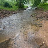 Review photo of Danner Primitive Campground by Ayden M., June 10, 2026