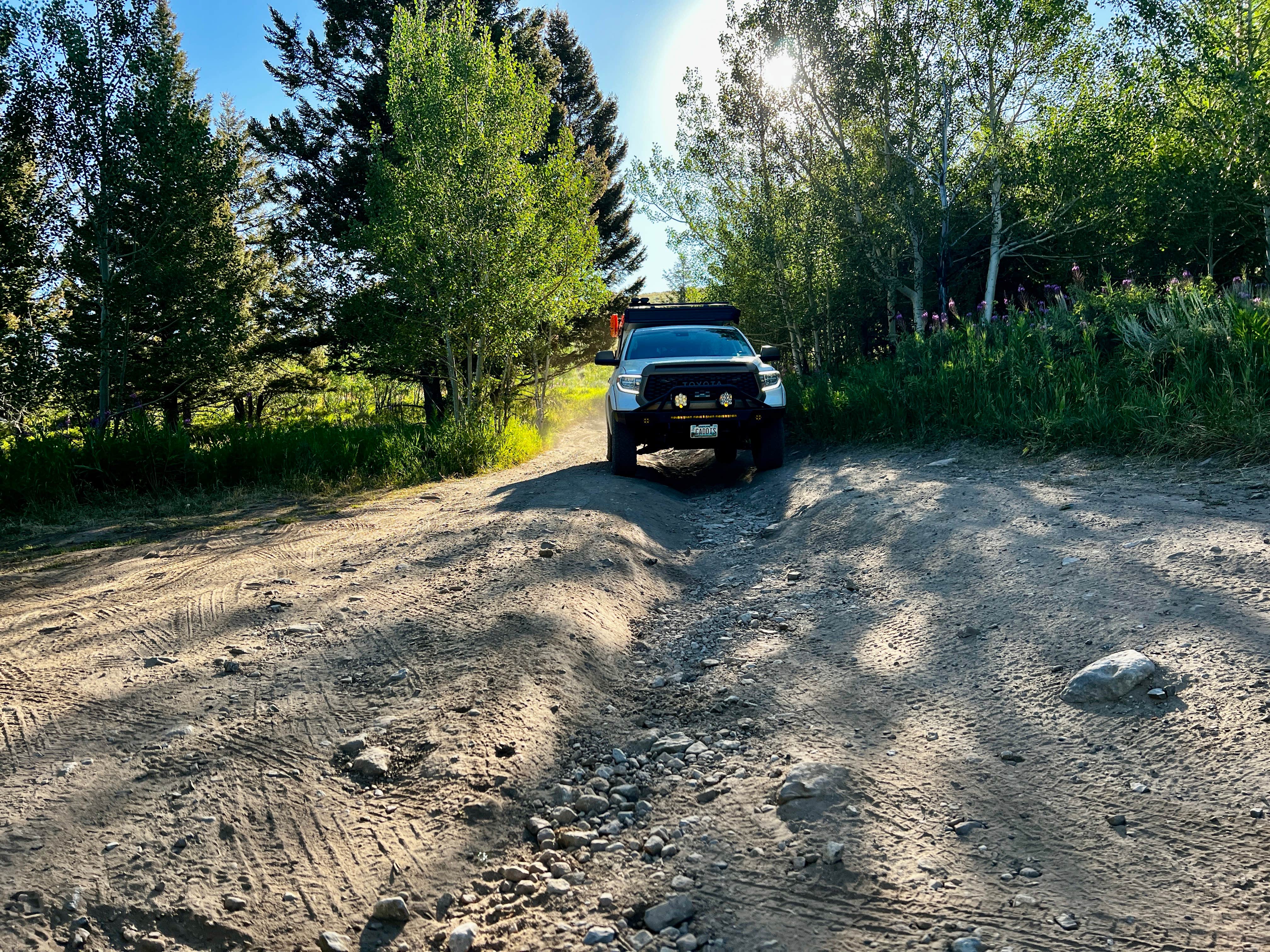 Camper submitted image from Darby Canyon Dispersed - 4