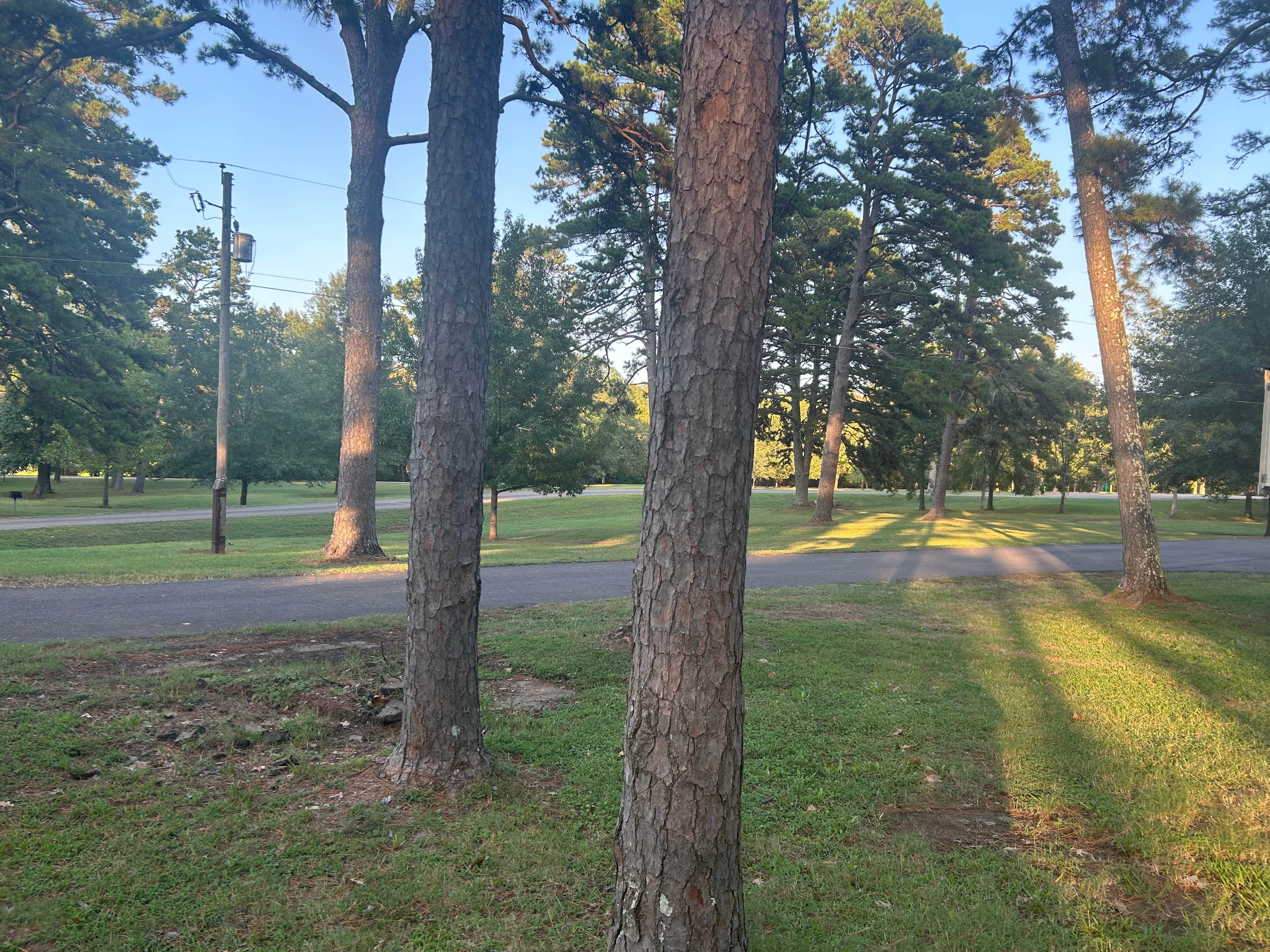 Camper-submitted photo at Dardanelle Campground — Lake Dardanelle State Park near Russellville, AR