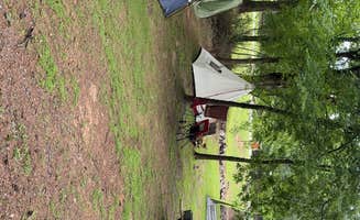 Amanda F.'s photo at Dardanelle Campground — Lake Dardanelle State Park near Plainview, AR