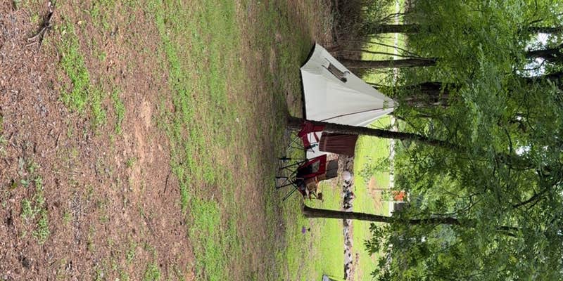 Camper submitted image from Dardanelle Campground — Lake Dardanelle State Park