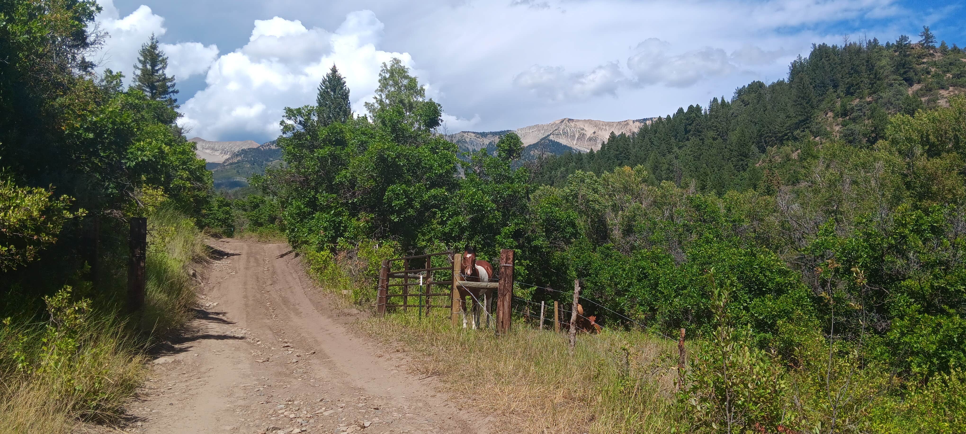 Voyager D.'s photo of camping with a horse at Dark Canyon Trailhead (Dispersed) near Black Canyon of the Gunnison National Park