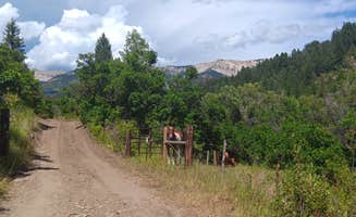 Voyager D.'s photo of camping with a horse at Dark Canyon Trailhead (Dispersed) near Mesa, CO