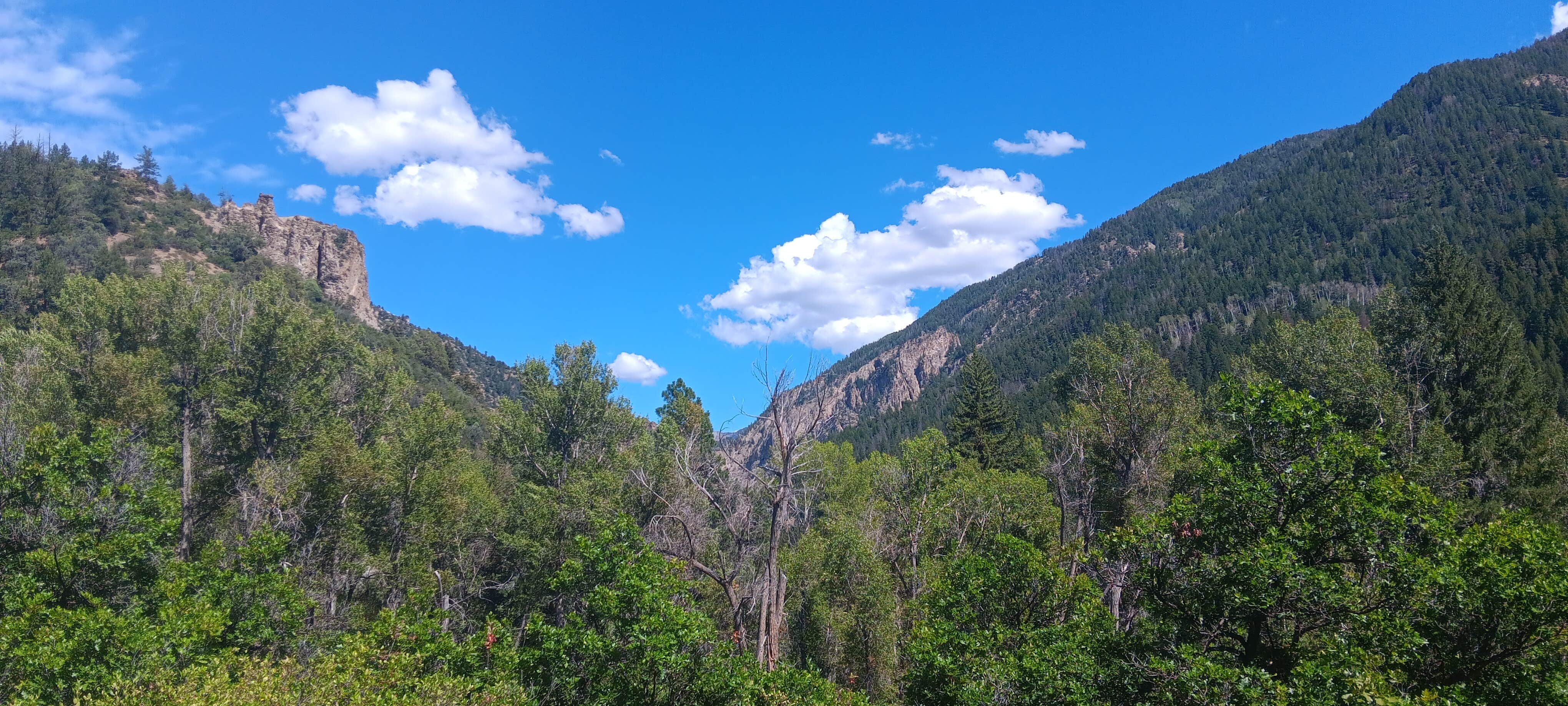 Camping near Washington Gulch - Dispersed Camping: Dark Canyon Trailhead (Dispersed), Marble, Colorado